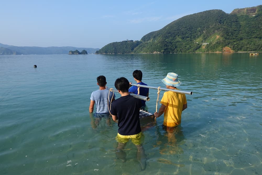 海へ来なさい