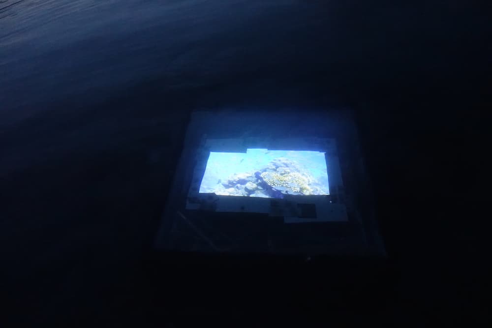 海へ来なさい