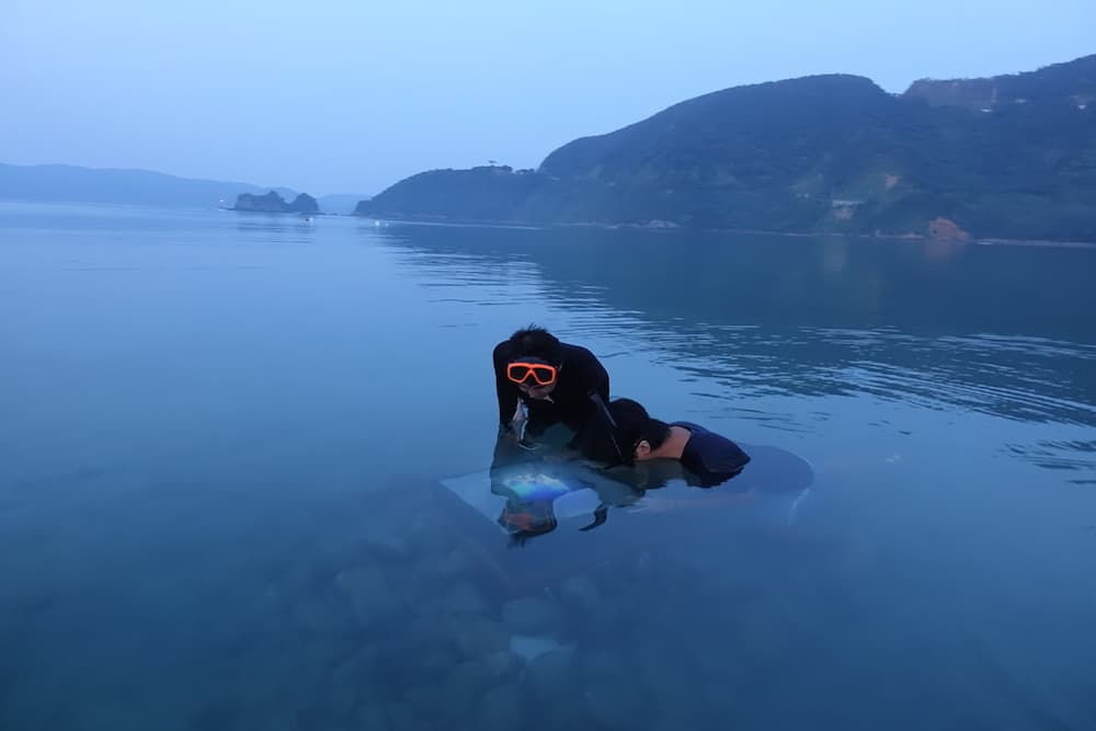 海へ来なさい