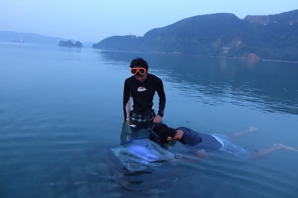 海へ来なさい