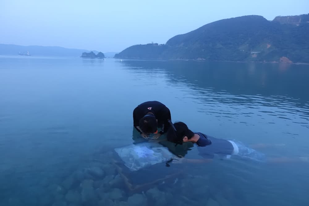 海へ来なさい