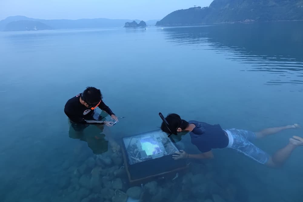 海へ来なさい